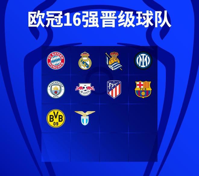 球迷关注的 球迷关注的